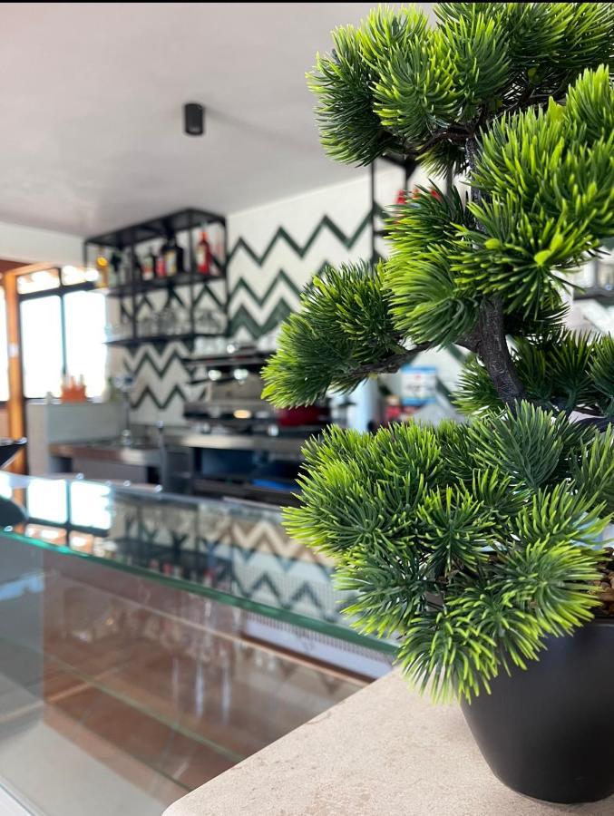 Camping Smeraldo Hotel Campomarino  Luaran gambar